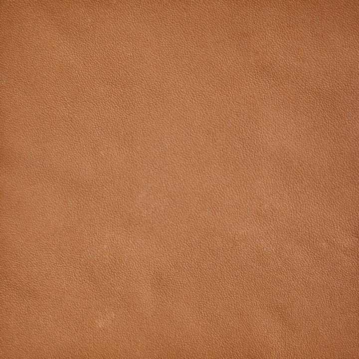 Leather Material Swatch